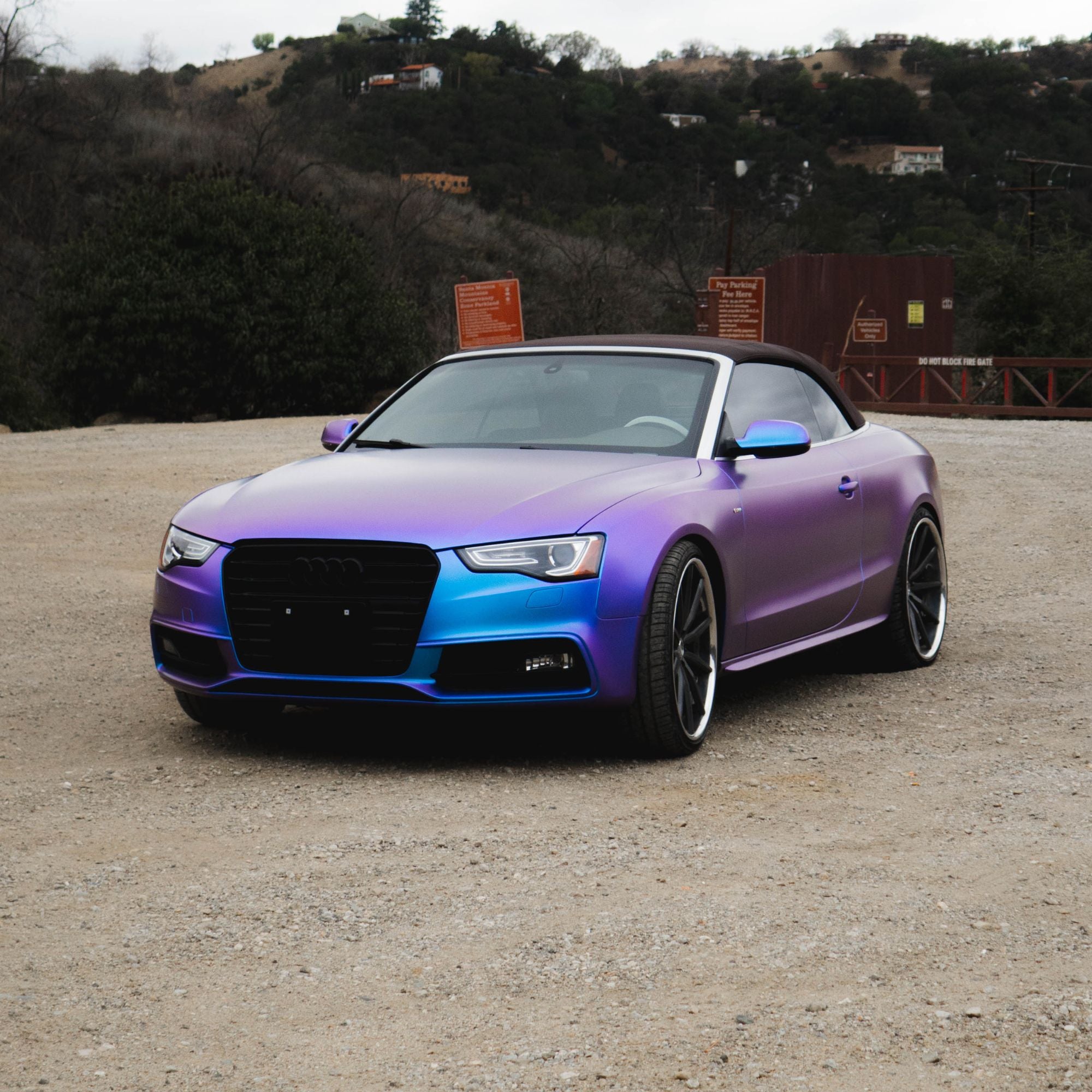 Matte Chameleon Purple to Blue – tinybotvinyl