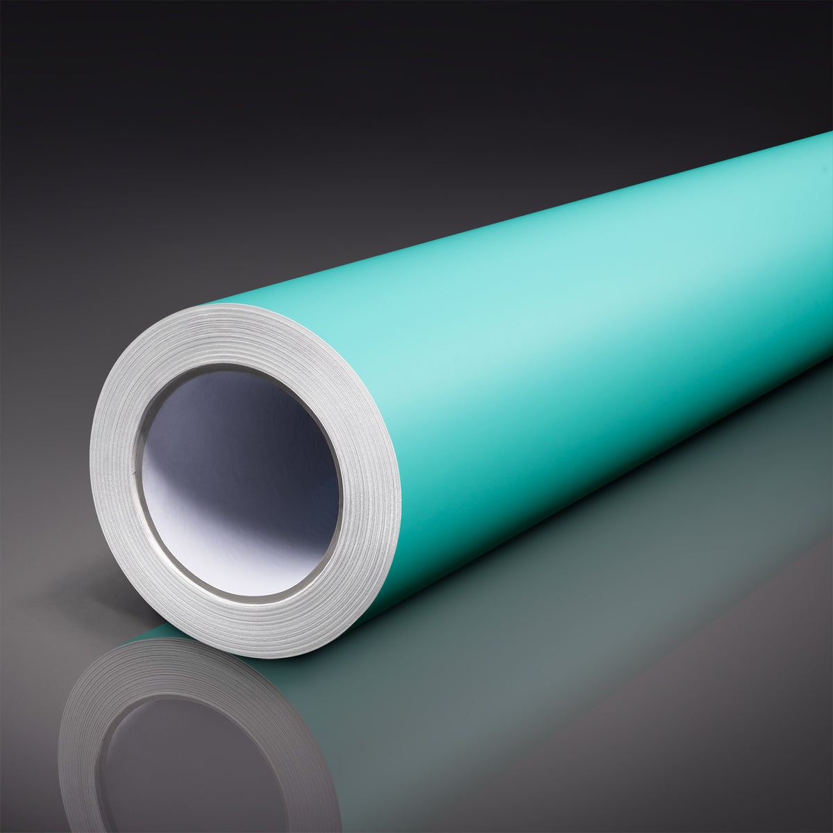 Ridiculous Matte Turquoise – tinybotvinyl