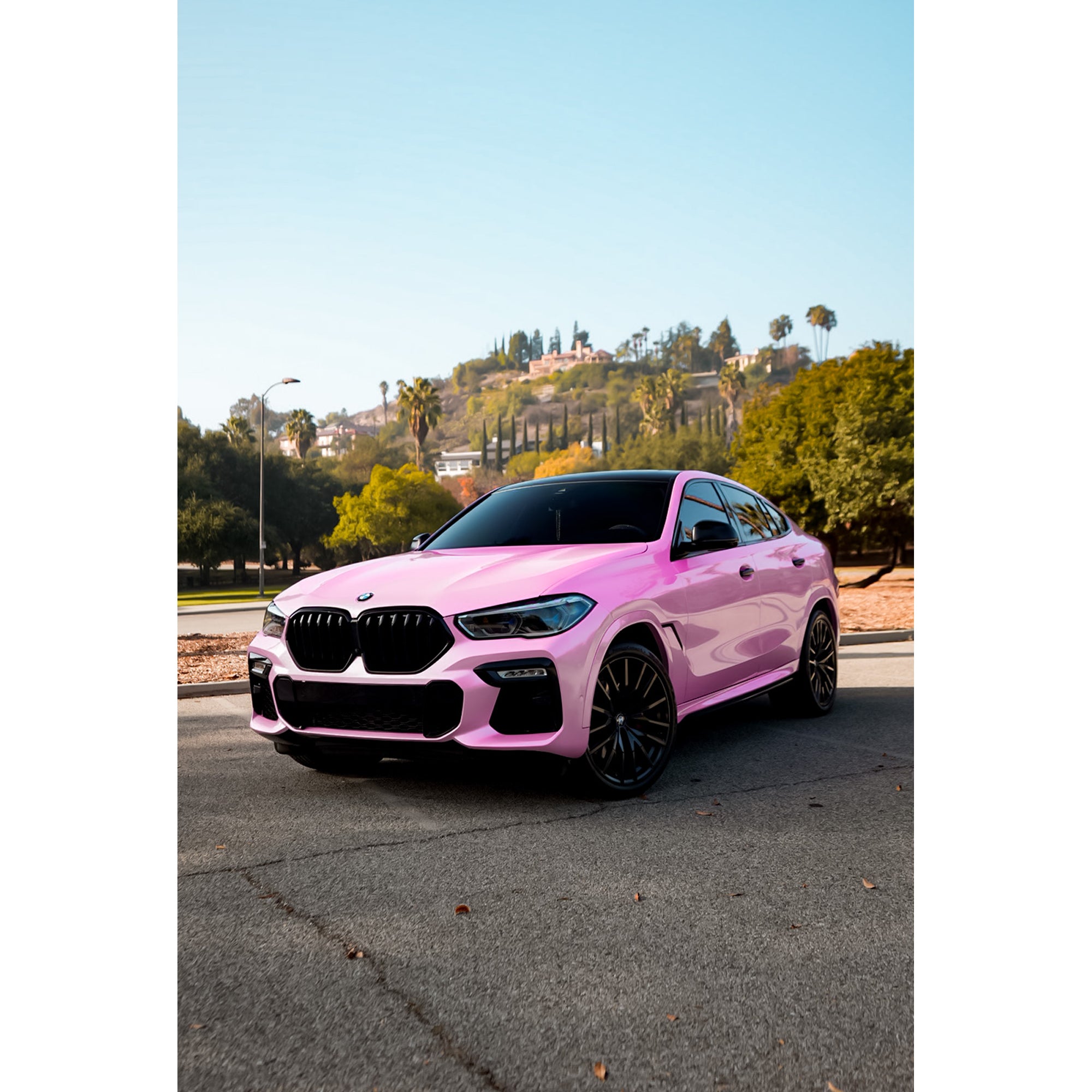 Pearl Cherry Pink – tinybotvinyl