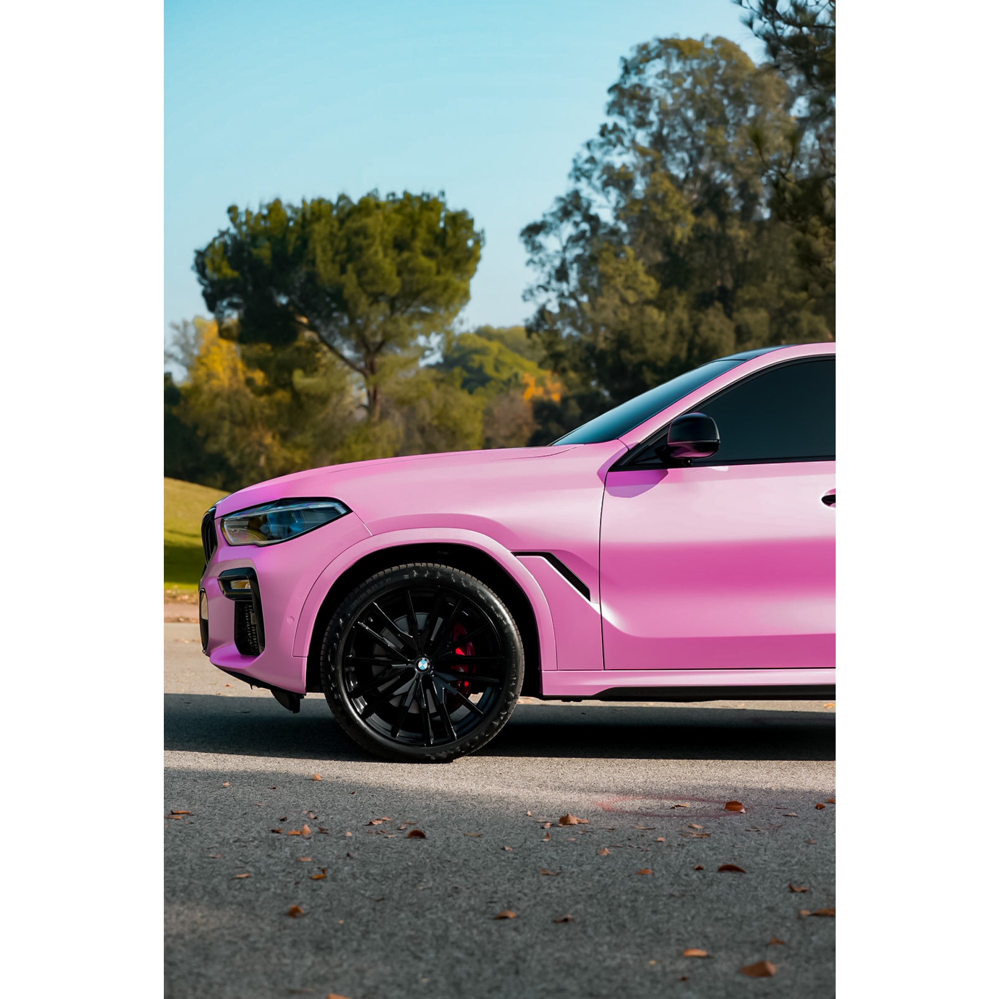 Pearl Cherry Pink – tinybotvinyl